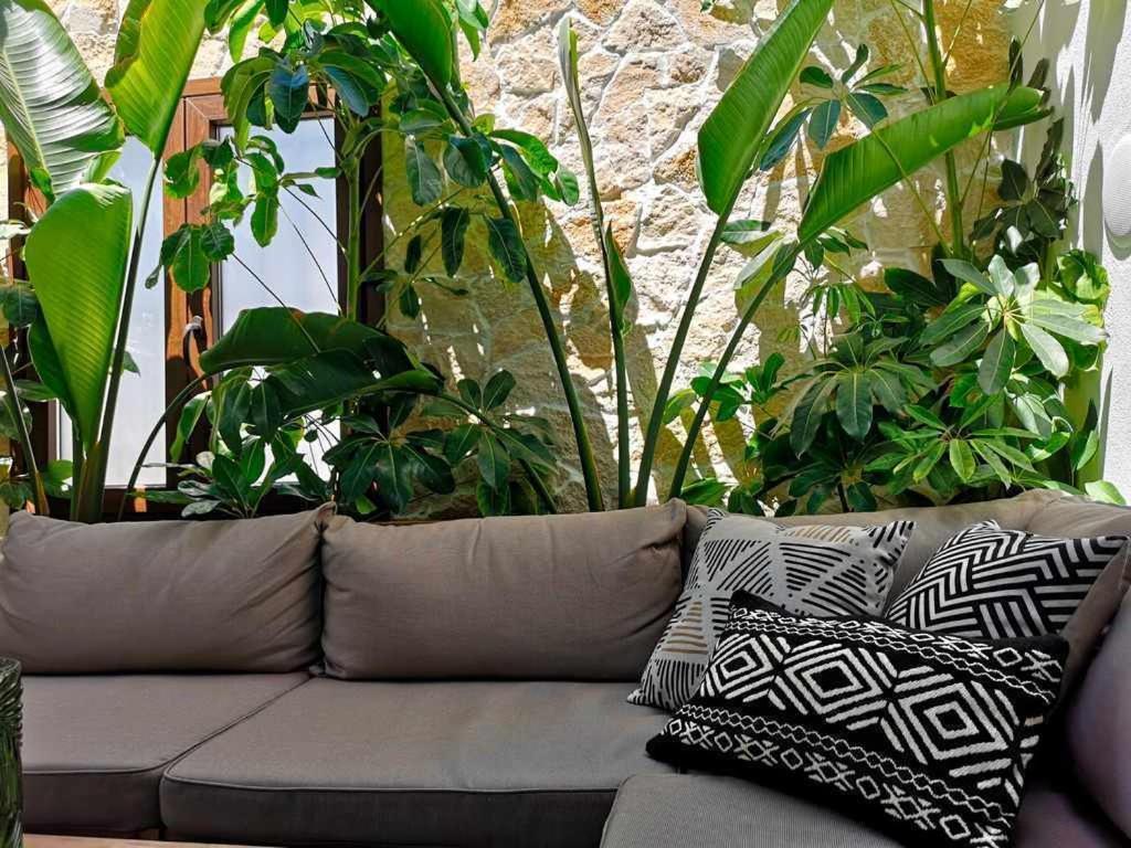 Casa Rural Albireo Rebosante De Luz Y Naturaleza Sanlúcar de Guadiana Buitenkant foto